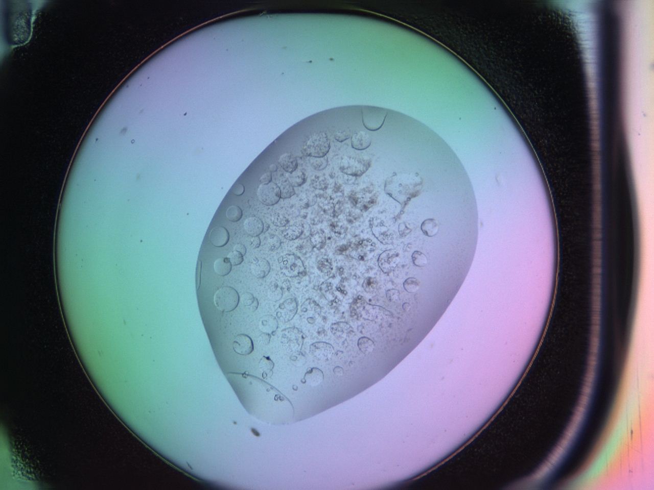 03oq_C11_ImagerDefaults_9.jpg