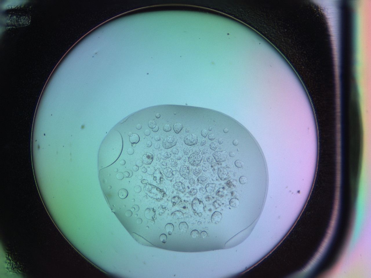 03oq_C12_ImagerDefaults_9.jpg