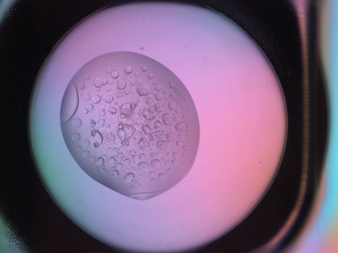 03oq_D6_ImagerDefaults_9.jpg