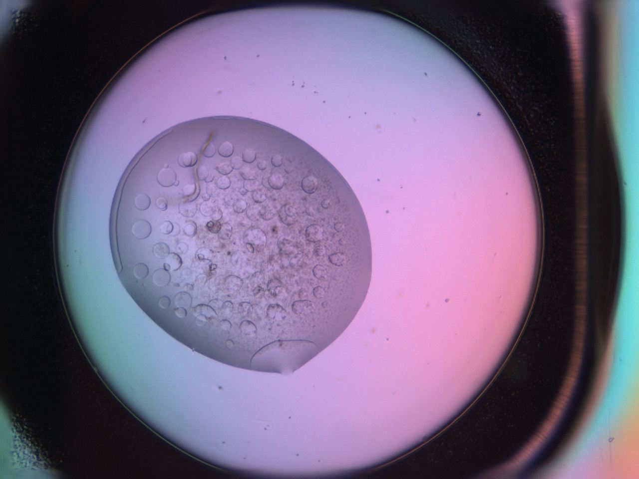 03oq_D5_ImagerDefaults_9.jpg