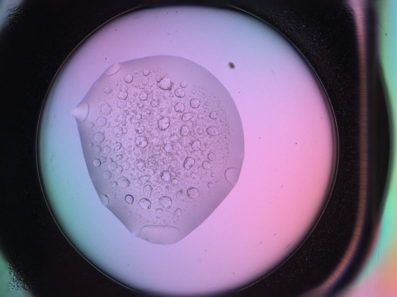 03oq_C5_ImagerDefaults_9.jpg