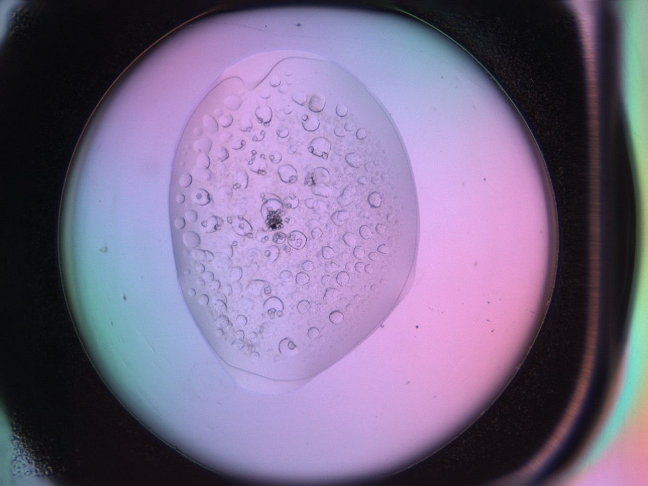 03oq_C4_ImagerDefaults_9.jpg