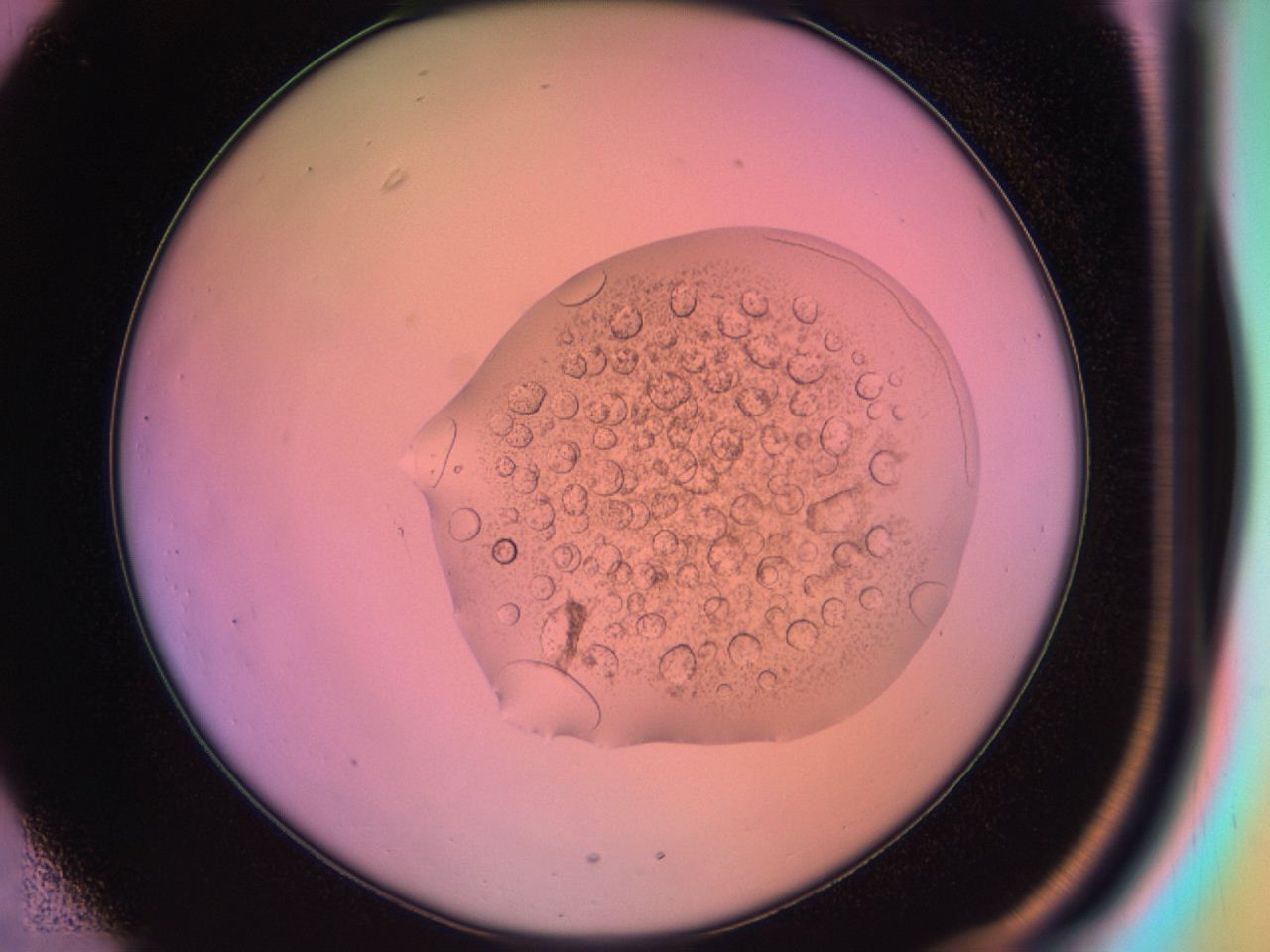 03oq_C1_ImagerDefaults_9.jpg