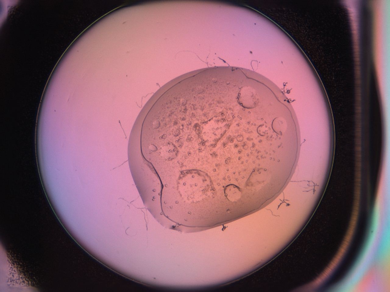 03oq_C2_ImagerDefaults_9.jpg