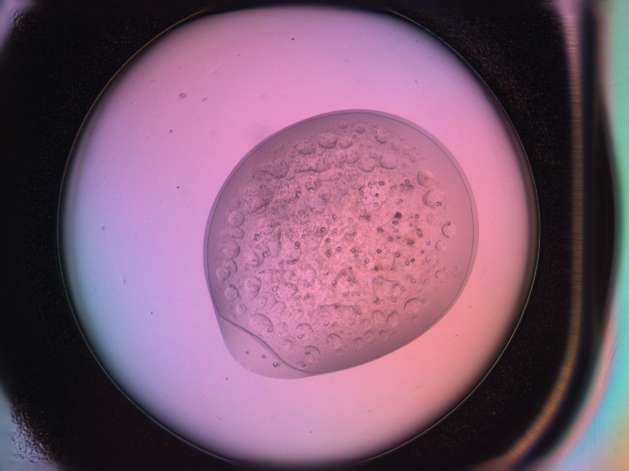 03oq_C3_ImagerDefaults_9.jpg