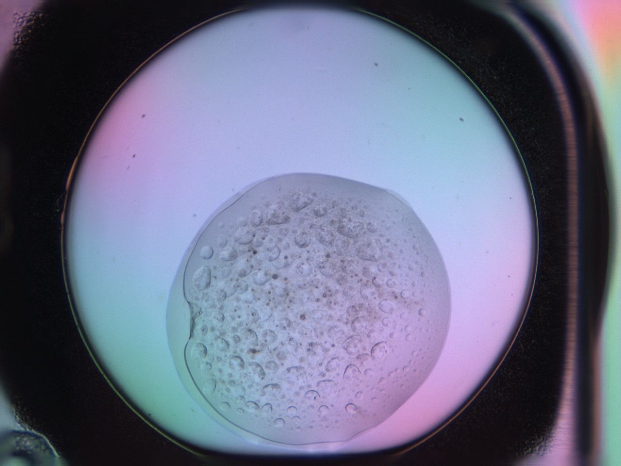 03oq_B10_ImagerDefaults_9.jpg