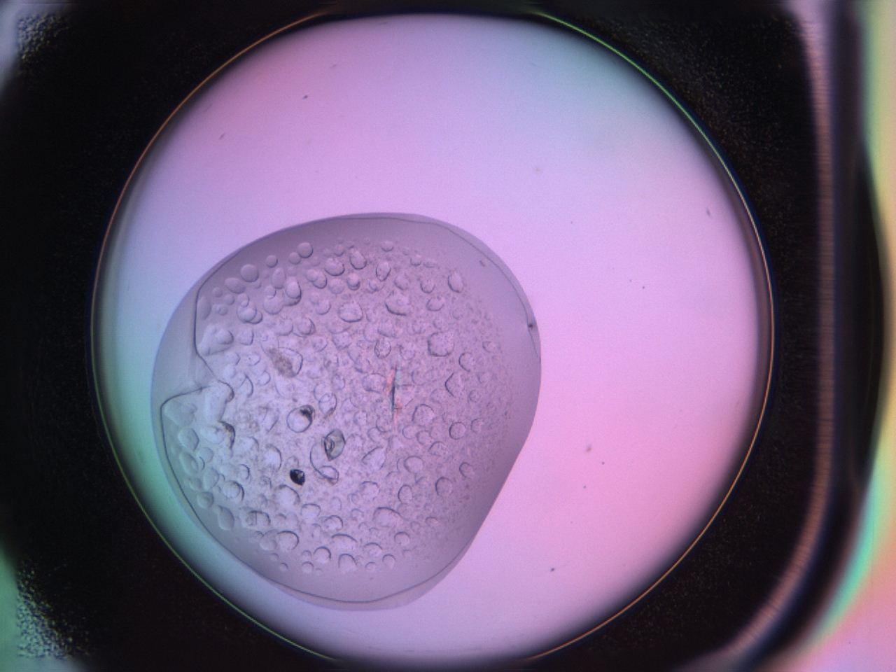 03oq_B4_ImagerDefaults_9.jpg