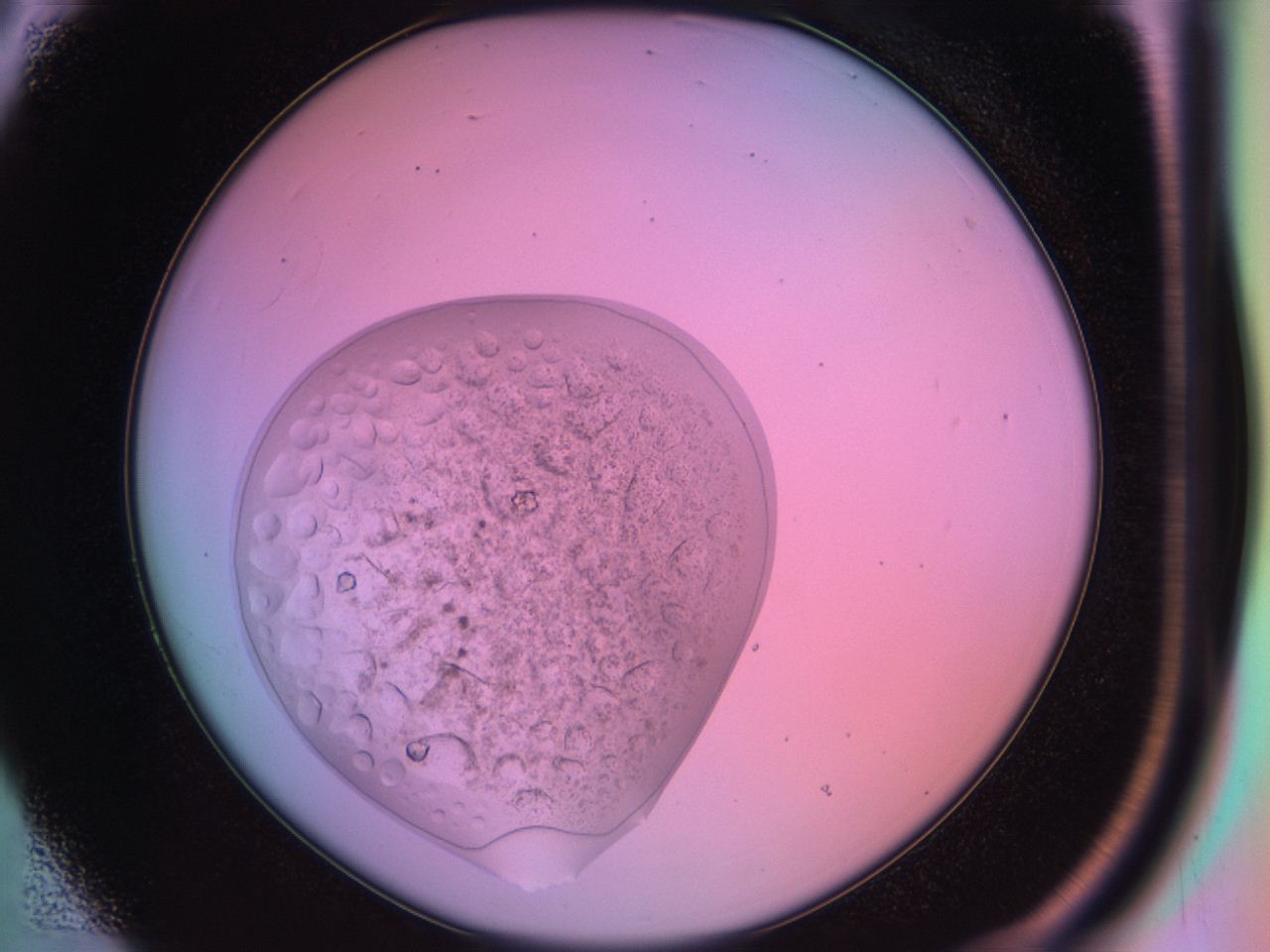 03oq_B3_ImagerDefaults_9.jpg
