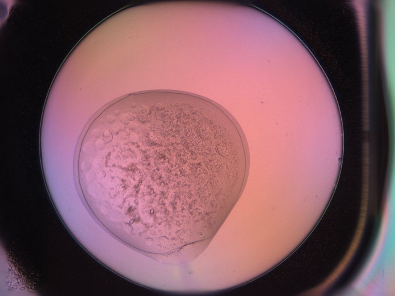 03oq_B2_ImagerDefaults_9.jpg