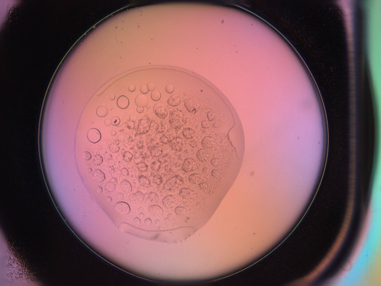 03oq_B1_ImagerDefaults_9.jpg