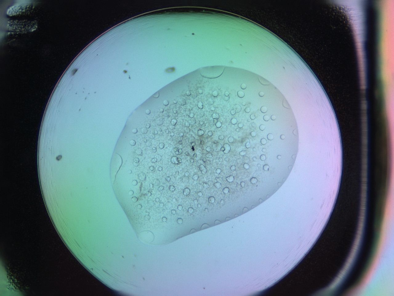 03oq_A12_ImagerDefaults_9.jpg