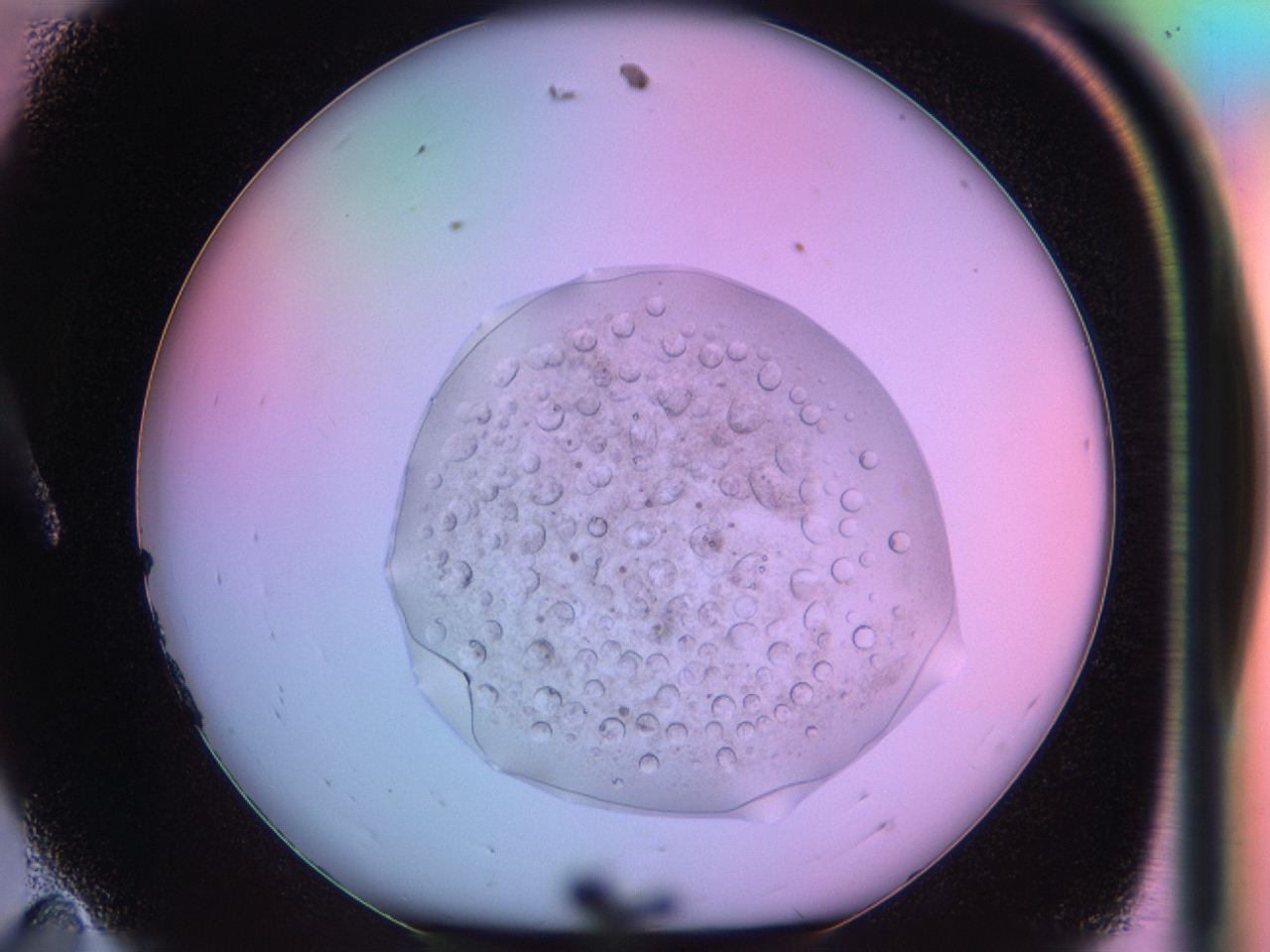 03oq_A11_ImagerDefaults_9.jpg