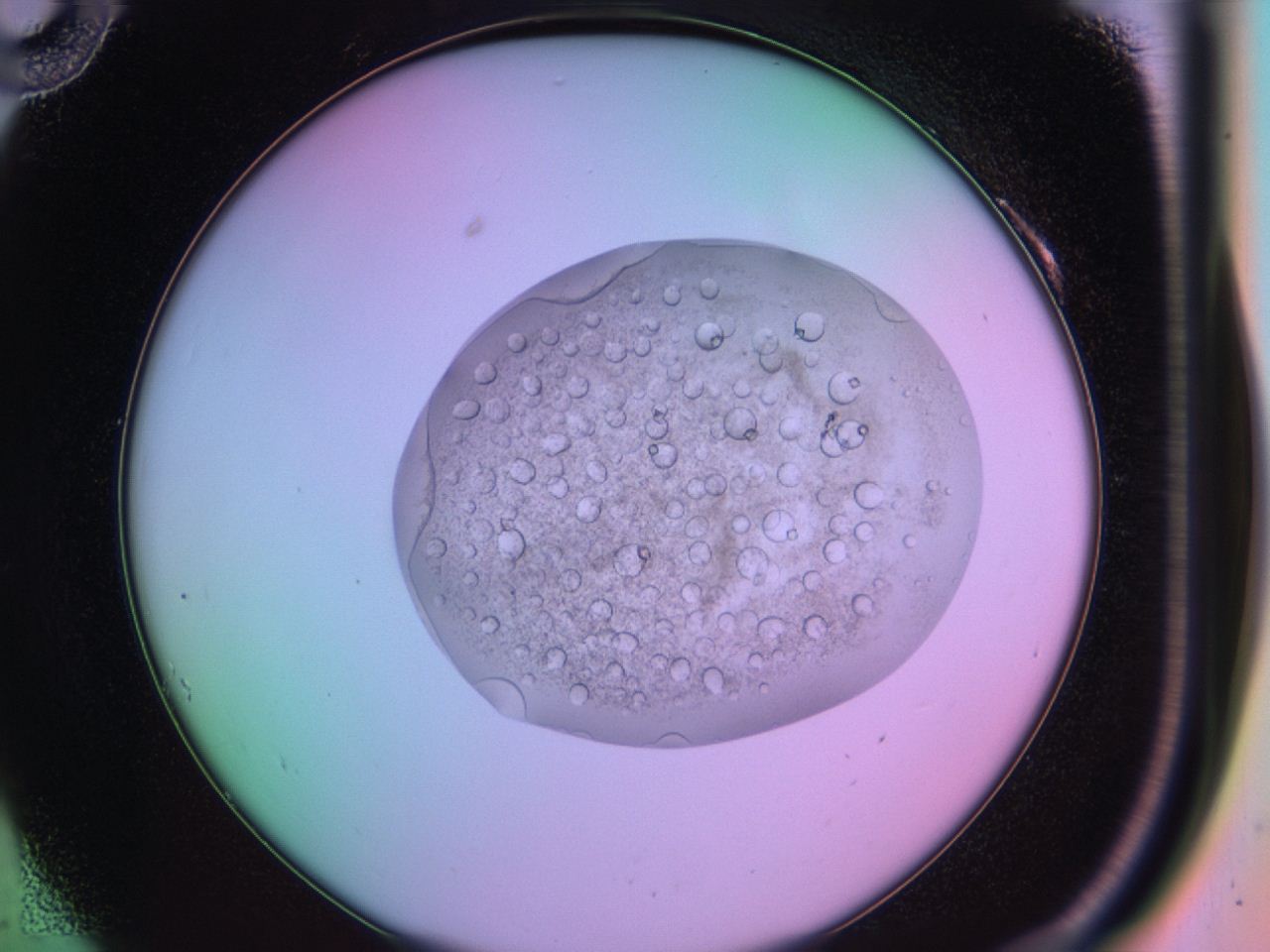 03oq_A10_ImagerDefaults_9.jpg