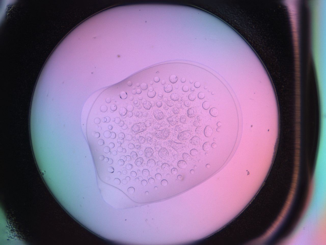 03oq_C6_ImagerDefaults_6.jpg