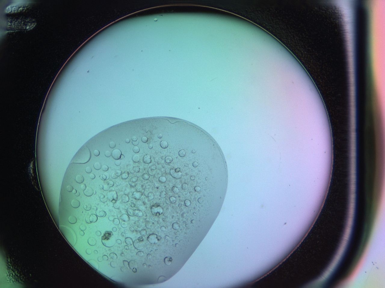 03oq_B12_ImagerDefaults_9.jpg