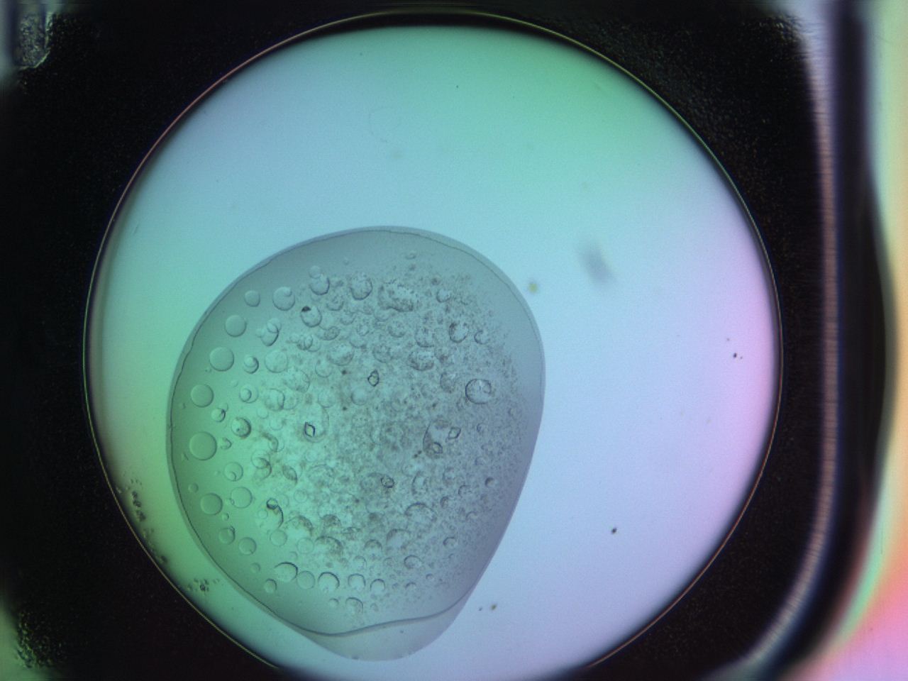 03oq_B11_ImagerDefaults_9.jpg