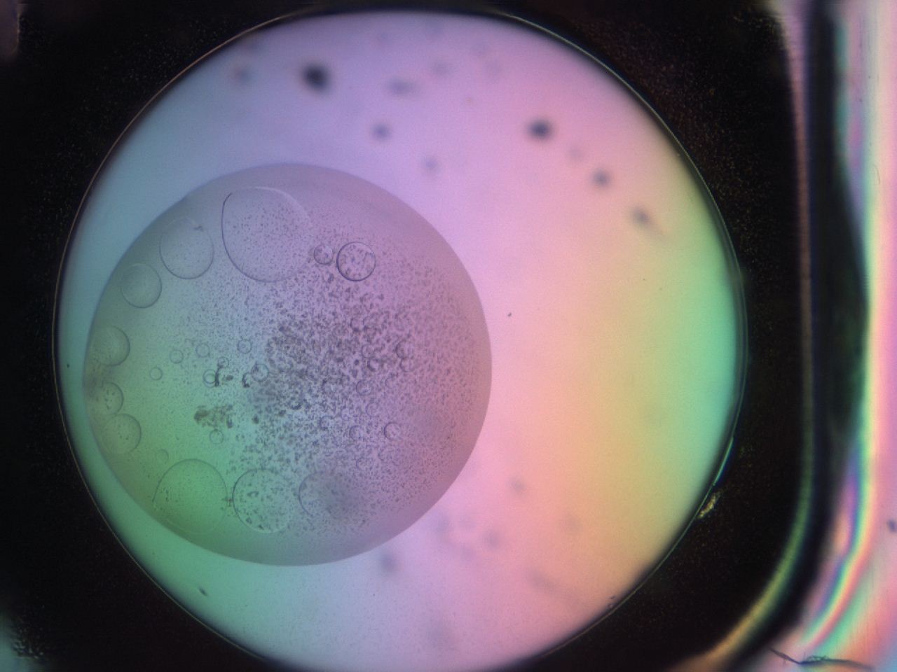 03oq_G11_ImagerDefaults_6.jpg