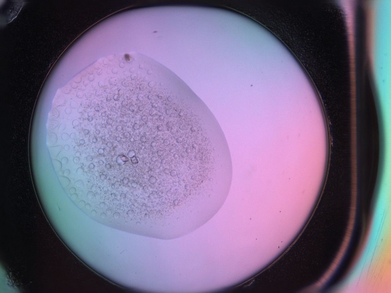 03oq_E10_ImagerDefaults_9.jpg