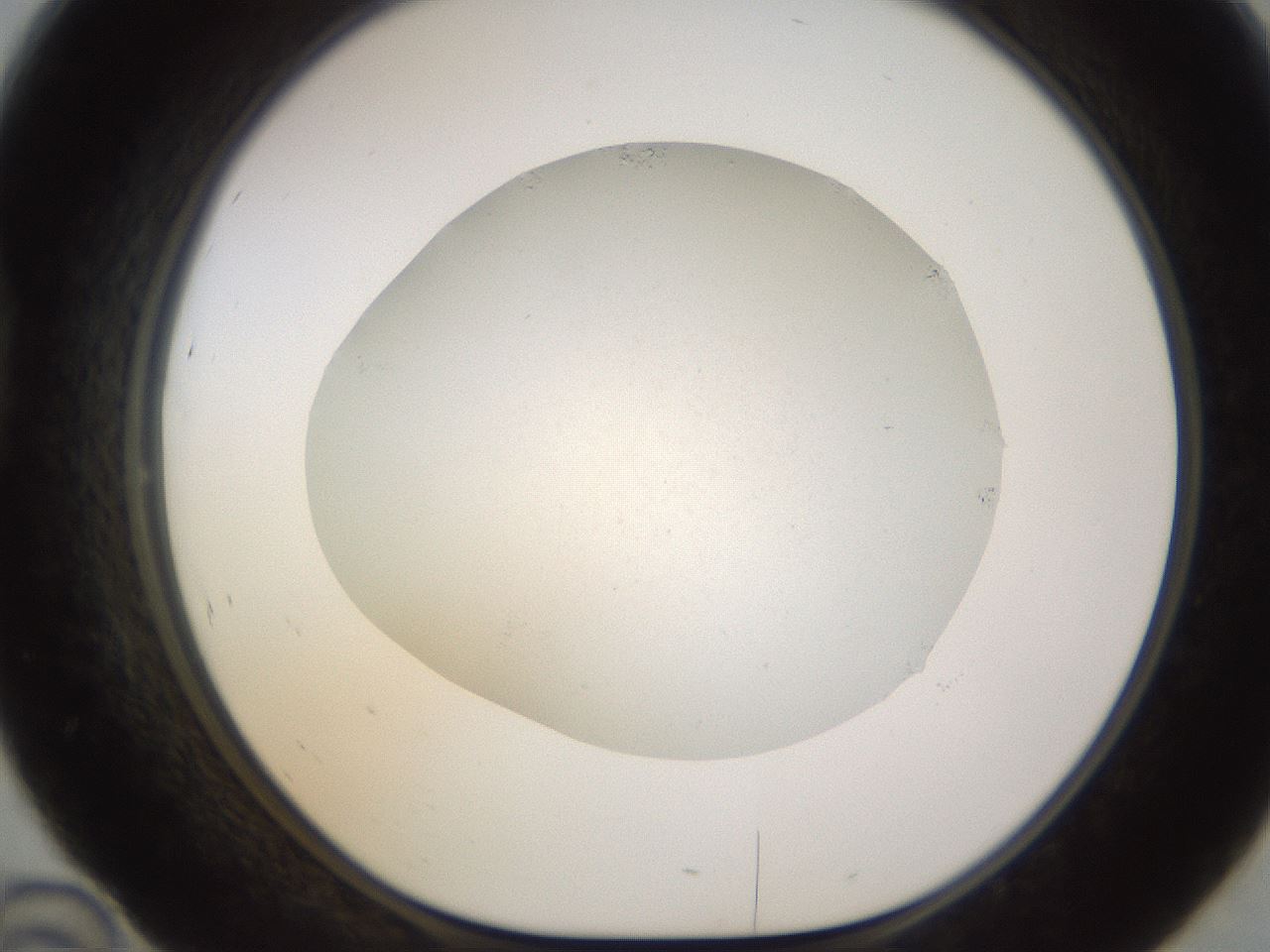 folderID751_plateID2751_batchID14413_wellNum46_profileID1_d1_r226981_ef.jpg