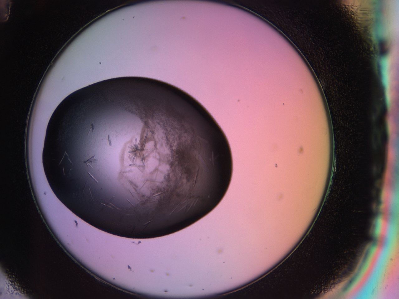 03os_H11_ImagerDefaults_6.jpg