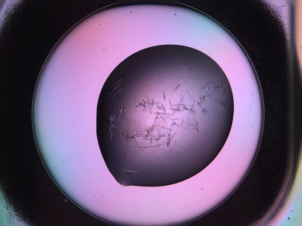 03os_A8_ImagerDefaults_7.jpg