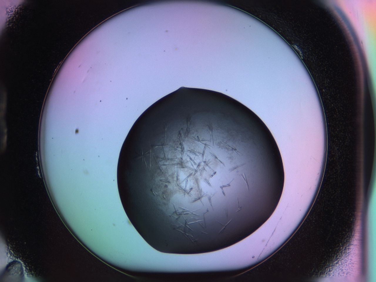 03ot_B11_ImagerDefaults_6.jpg