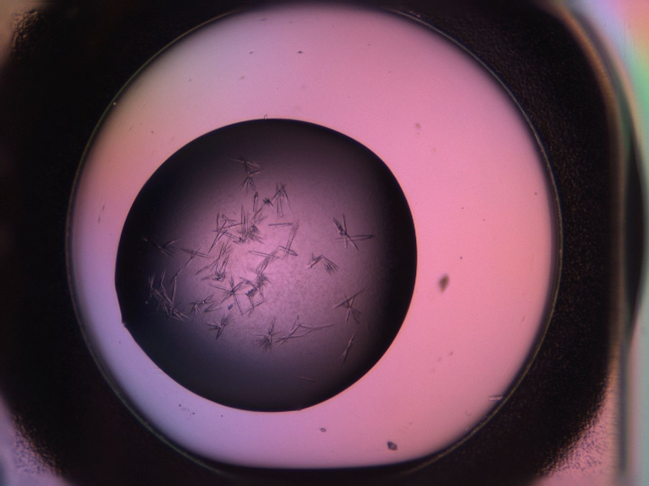 03ot_C8_ImagerDefaults_6.jpg