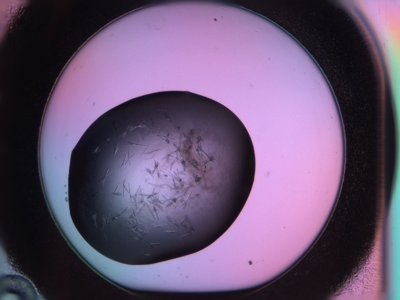 03ot_C10_ImagerDefaults_6.jpg