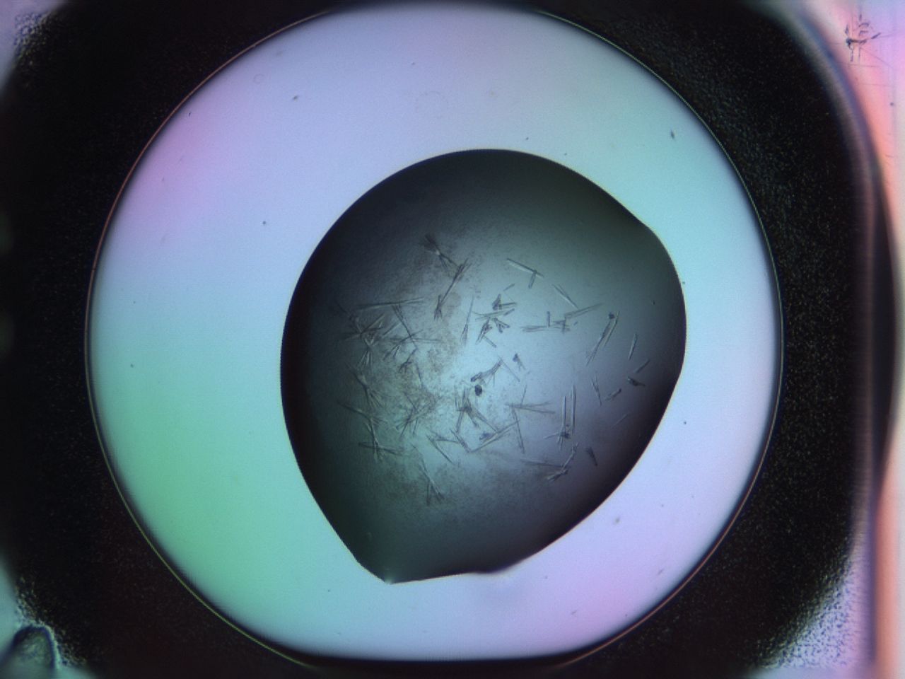03ot_C11_ImagerDefaults_6.jpg