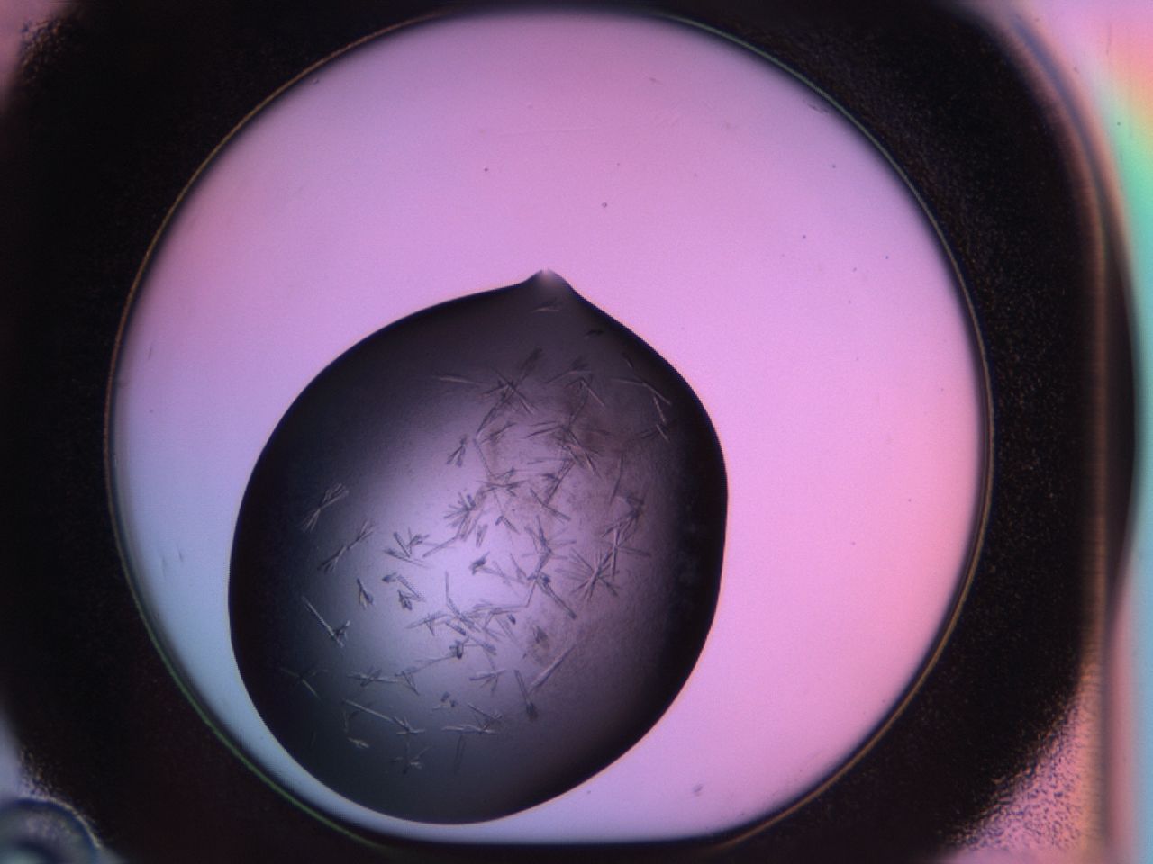 03ot_D10_ImagerDefaults_6.jpg