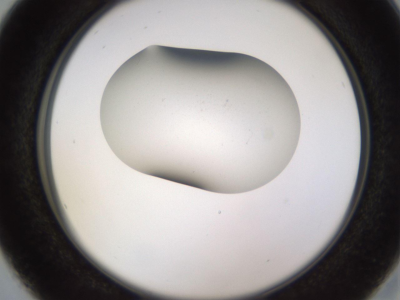 folderID756_plateID2756_batchID14410_wellNum16_profileID1_d2_r226346_ef.jpg