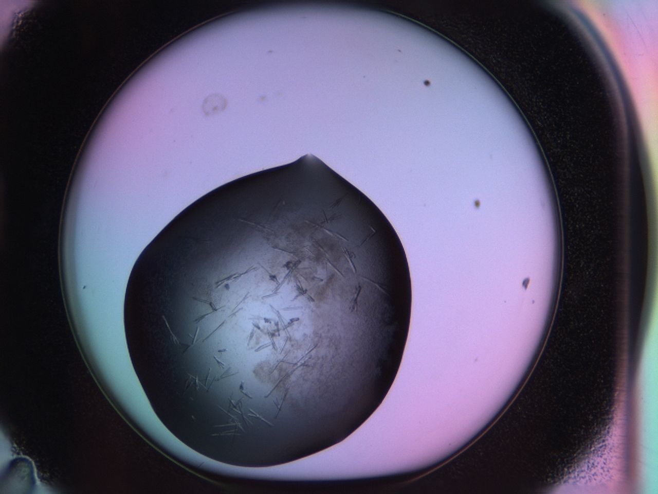 03ot_D11_ImagerDefaults_6.jpg
