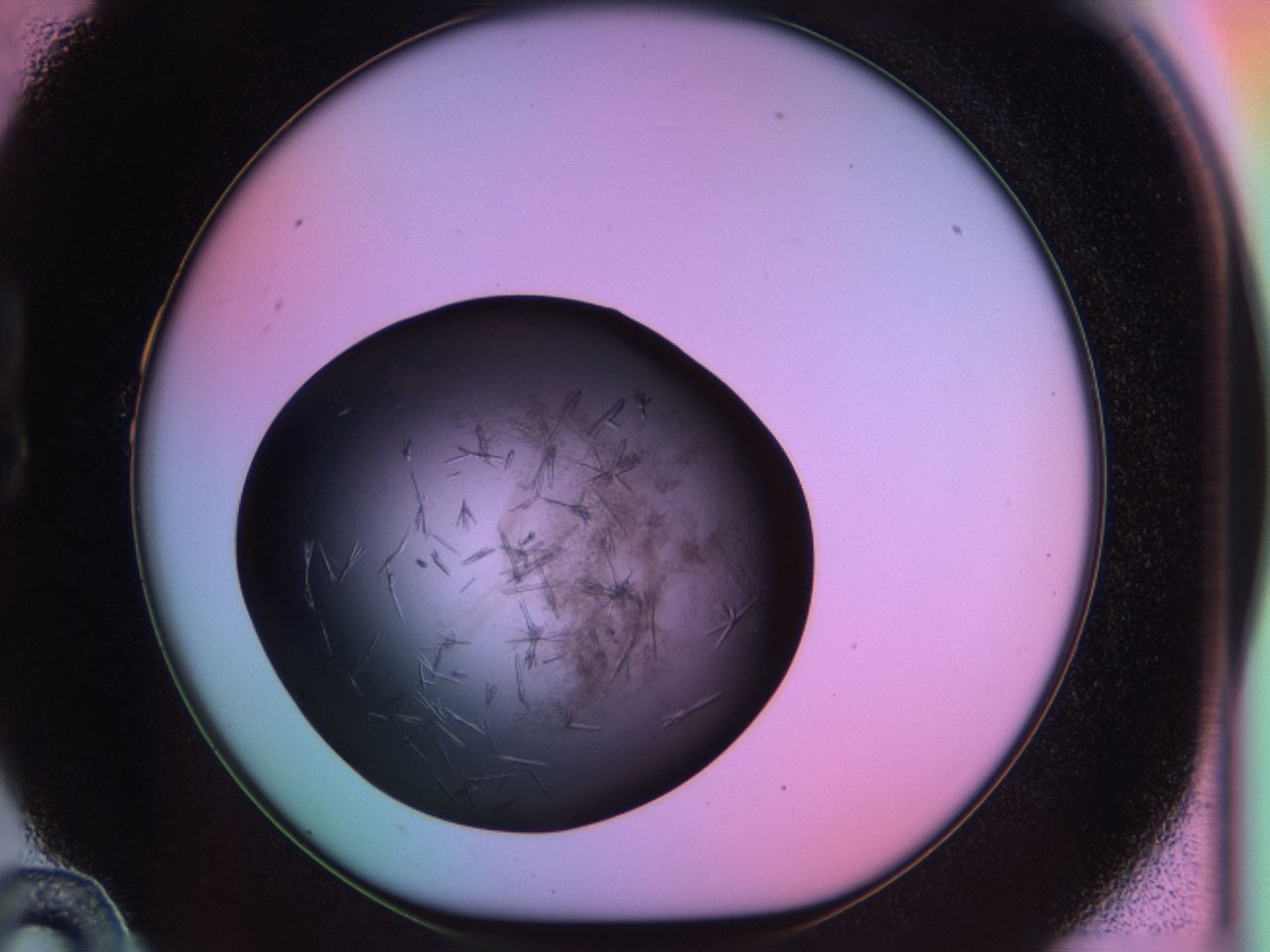 03ot_B10_ImagerDefaults_6.jpg
