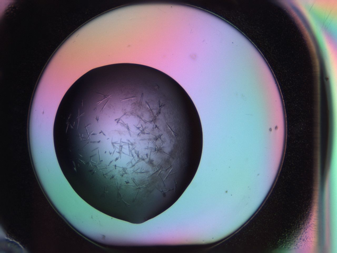 03ot_F10_ImagerDefaults_6.jpg