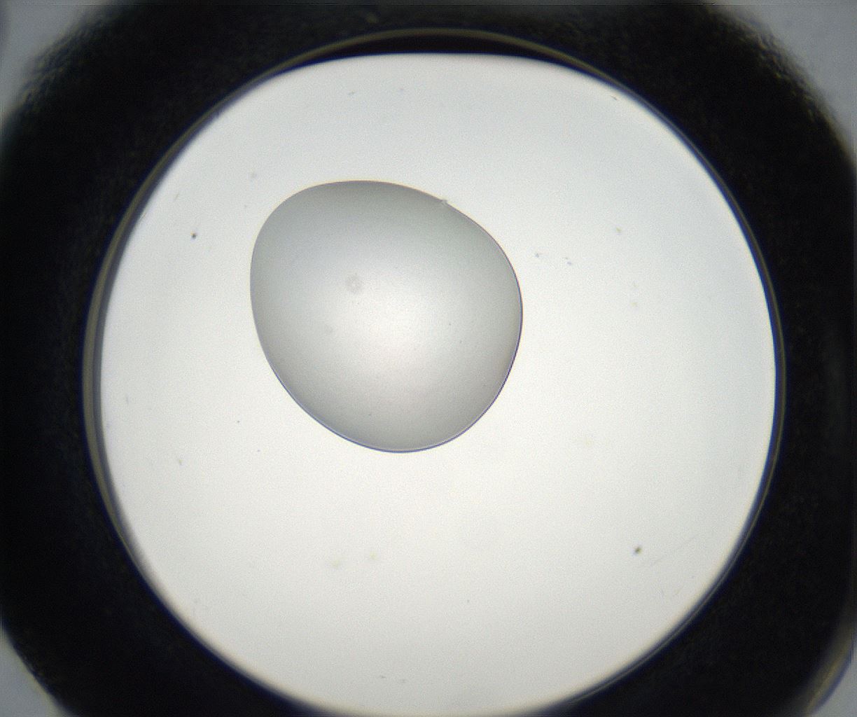 folderID75_plateID2075_batchID9508_wellNum66_profileID1_d2_r143601_ef.jpg