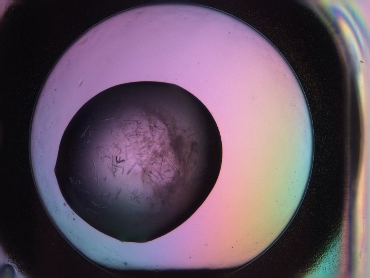03ot_G11_ImagerDefaults_6.jpg