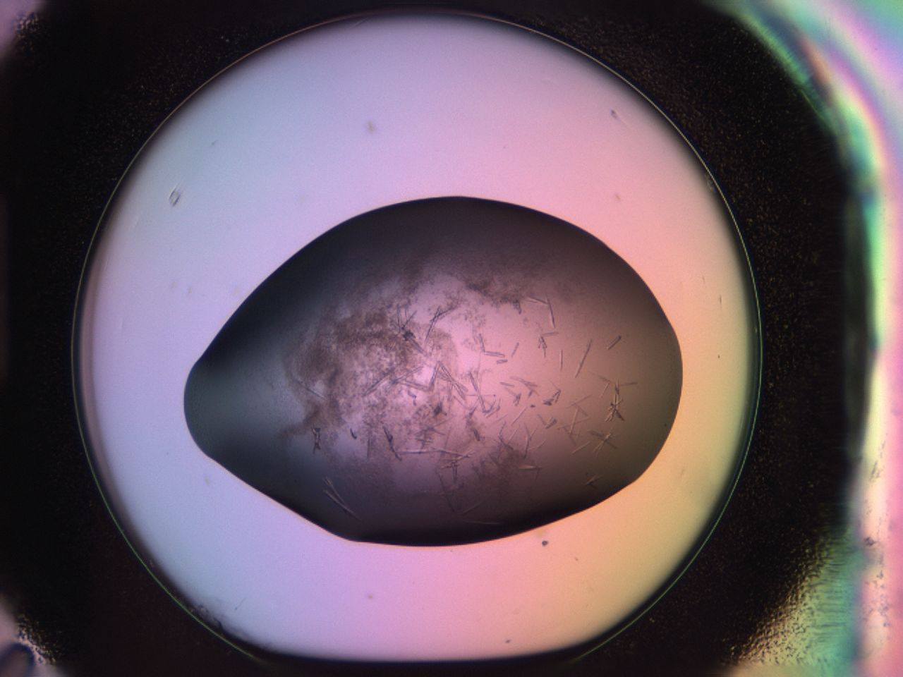 03ot_H11_ImagerDefaults_6.jpg