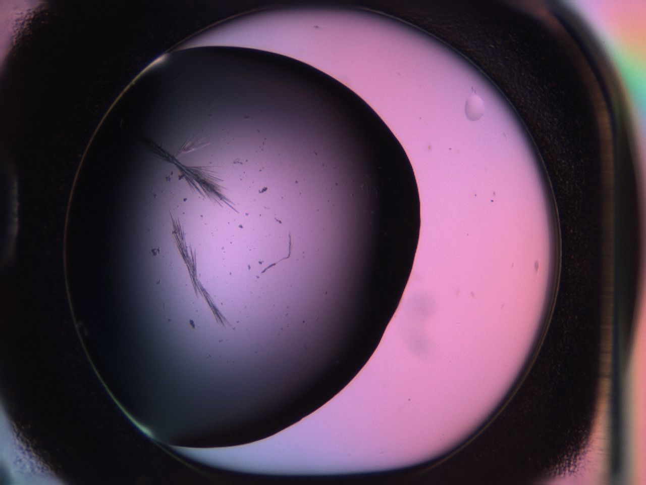 03pp_D6_ImagerDefaults_6.jpg