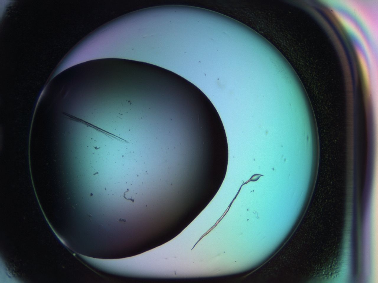03pp_G8_ImagerDefaults_7.jpg