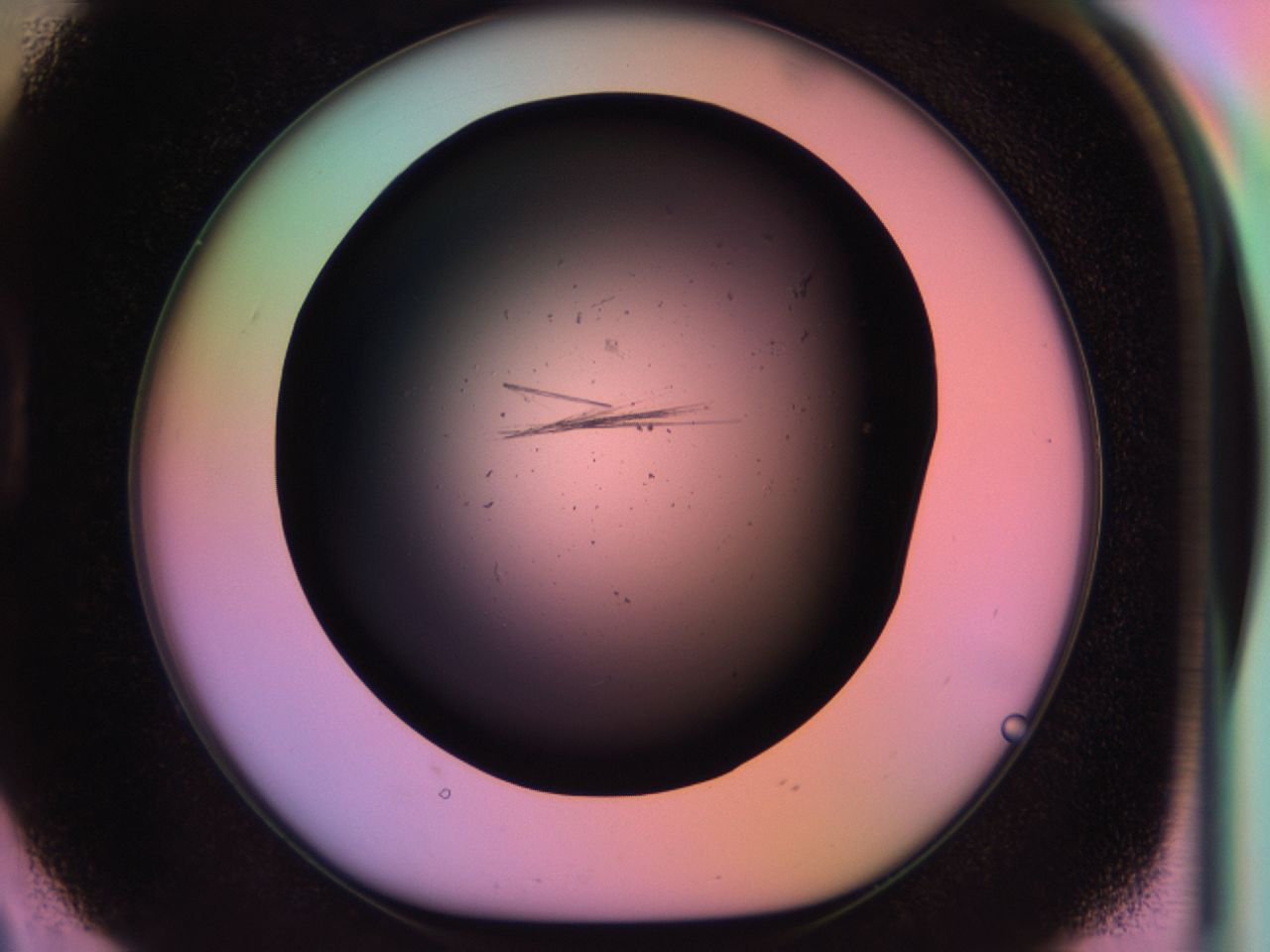 03pp_D2_ImagerDefaults_6.jpg