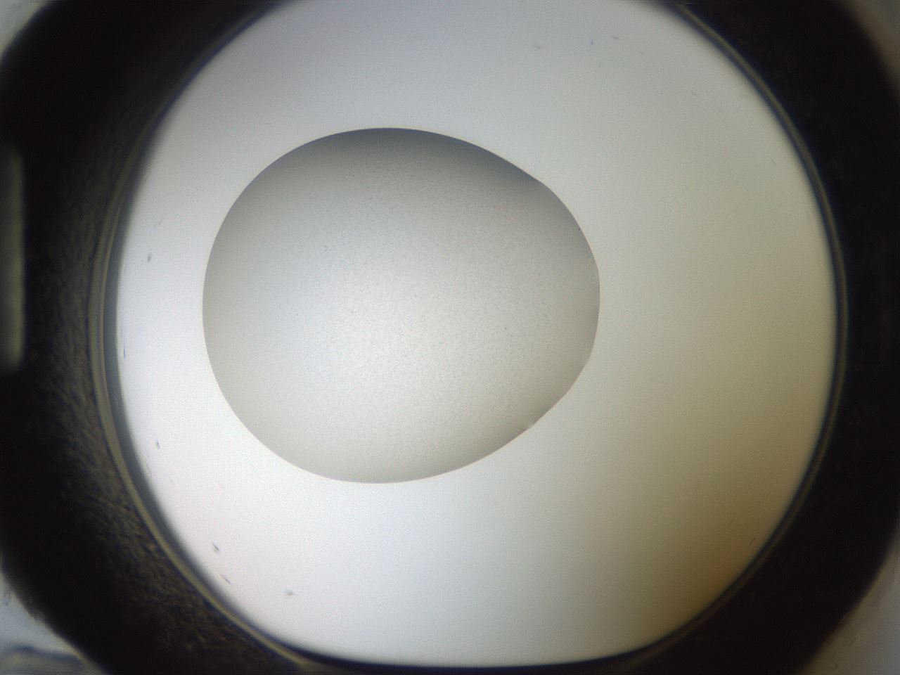 folderID767_plateID1767_batchID7553_wellNum96_profileID1_d1_r118014_ef.jpg