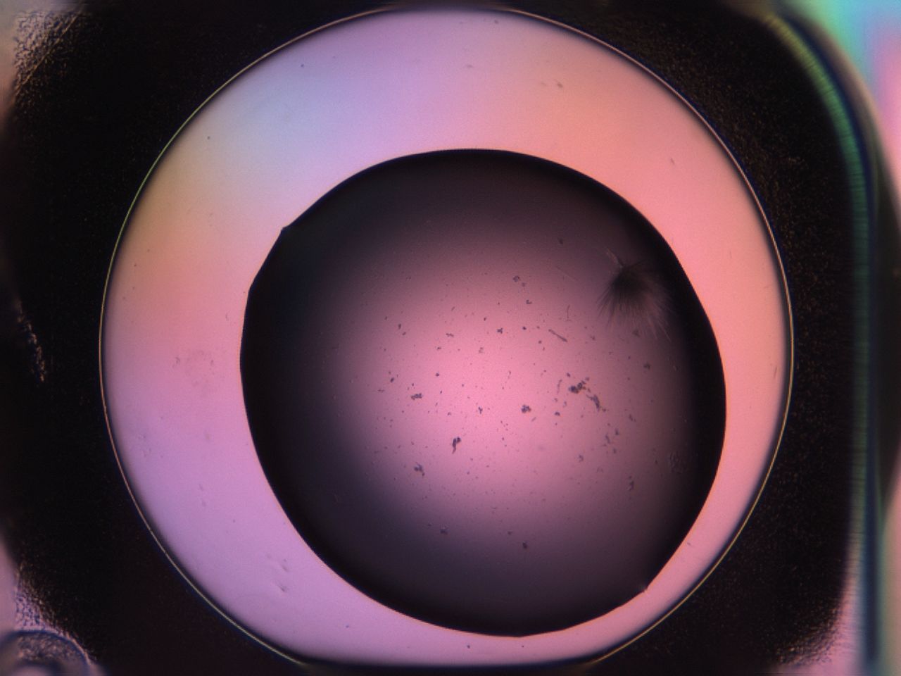 03pq_A10_ImagerDefaults_6.jpg