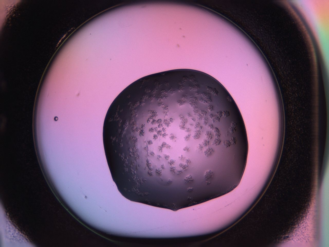 03ps_C4_ImagerDefaults_6.jpg