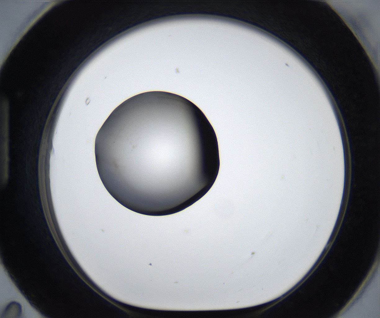 folderID627_plateID2627_batchID13256_wellNum95_profileID1_d1_r208614_ef.jpg