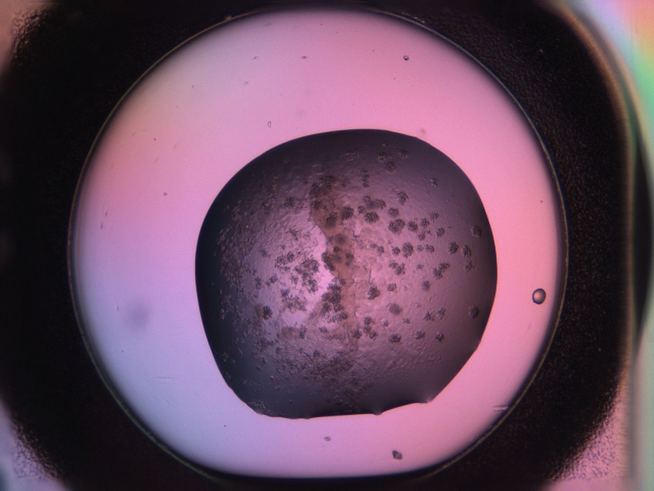 03ps_C8_ImagerDefaults_6.jpg