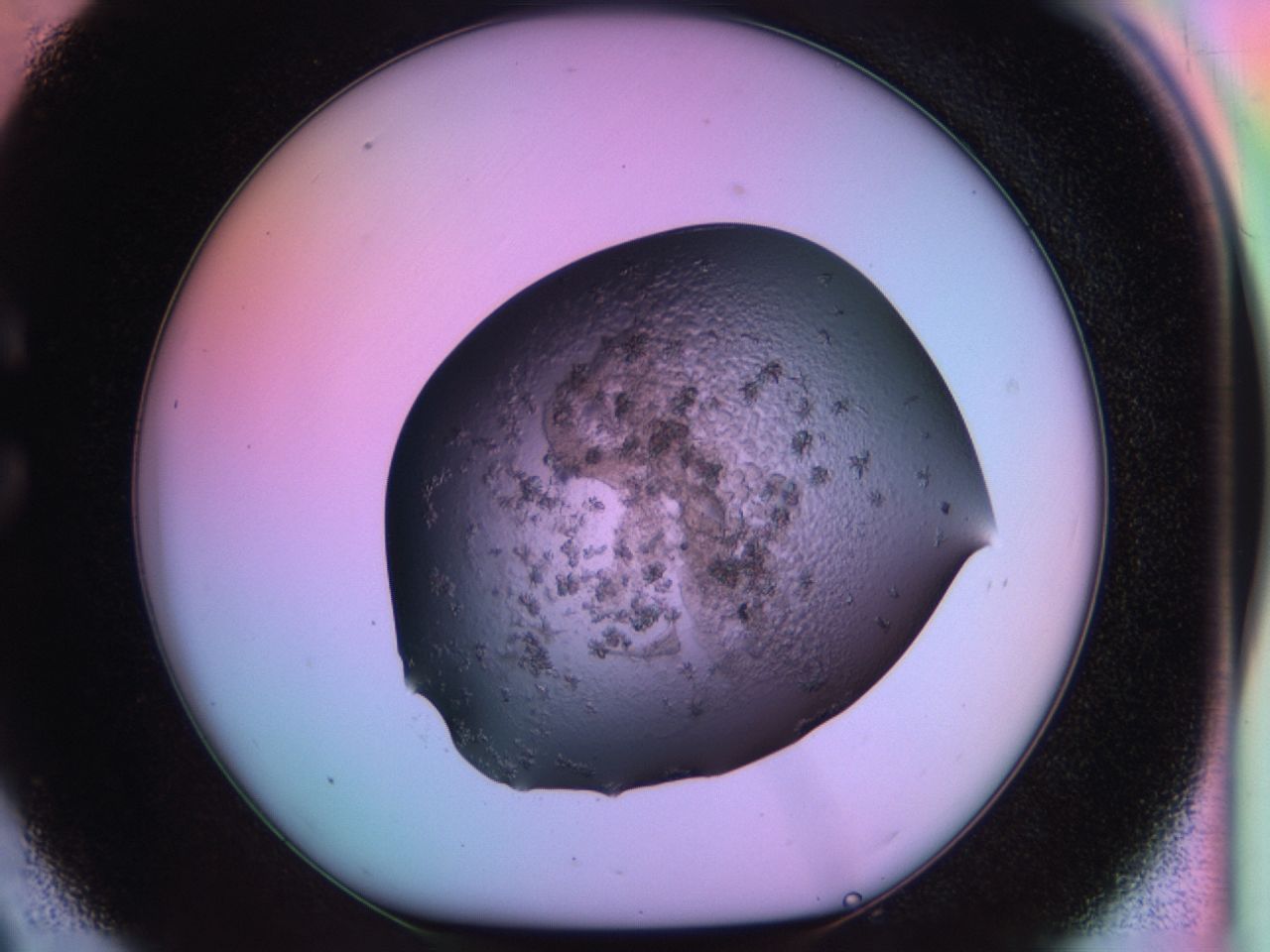 03ps_C9_ImagerDefaults_6.jpg