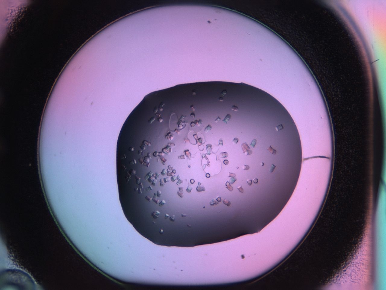 03ps_C10_ImagerDefaults_8.jpg