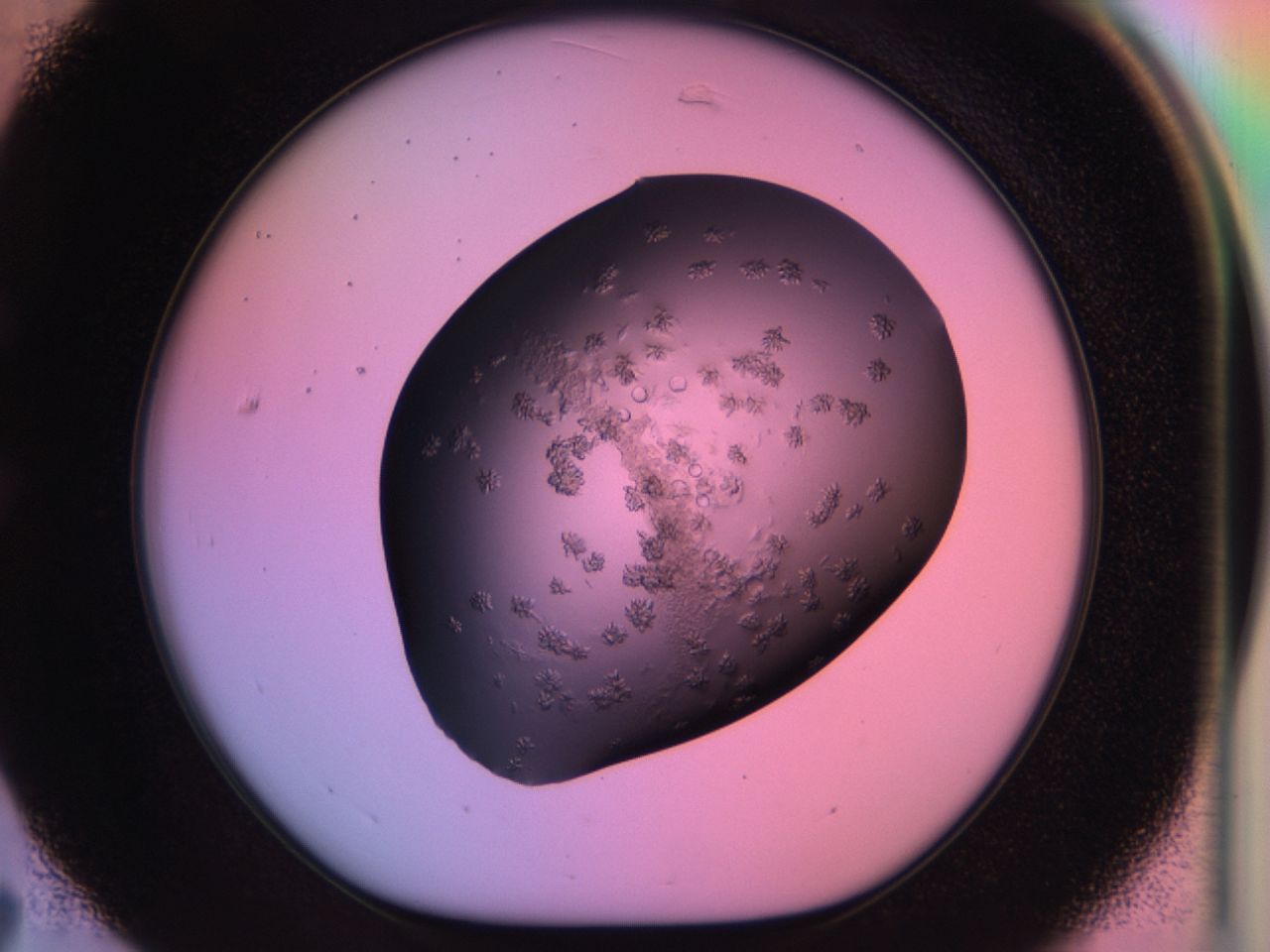 03ps_C7_ImagerDefaults_7.jpg