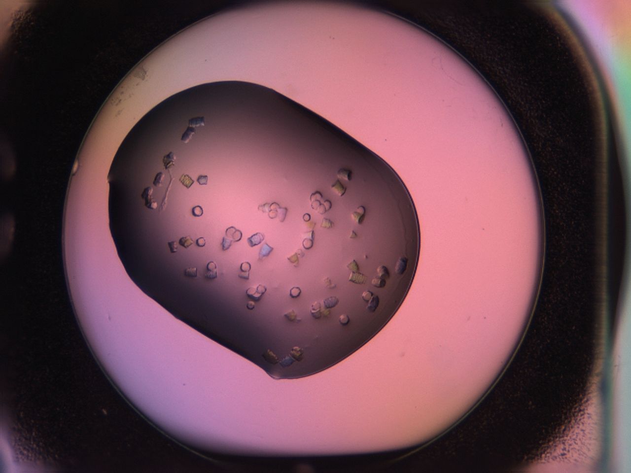 03ps_C3_ImagerDefaults_8.jpg