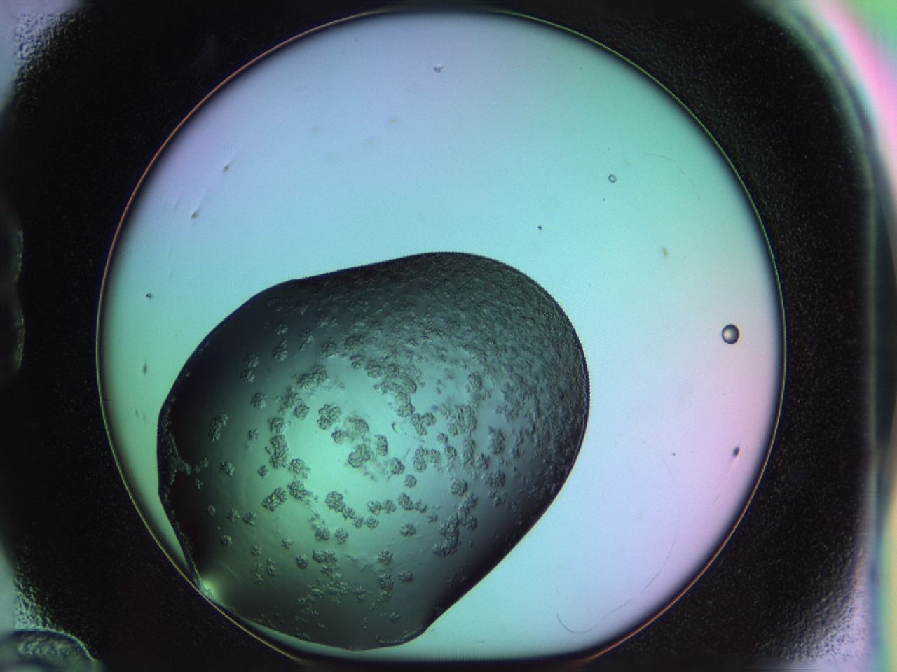 03ps_B12_ImagerDefaults_6.jpg